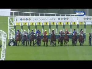 Video preview image for Sandown Park 19:55 - Party Booking At Slug and Lettuce Handicap