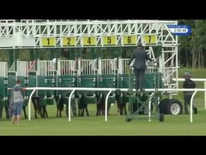 Video preview image for Musselburgh 14:00 - Quilter Cheviot Nursery