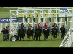 Video preview image for Musselburgh 17:00 - Edgen Murray Amateur Riders' Handicap