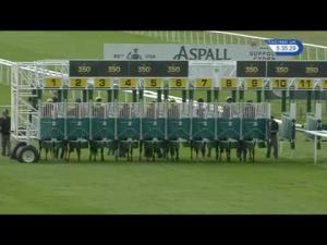 Video preview image for Newmarket 17:35 - Triconnex Maiden Fillies' Stakes (Plus 10)
