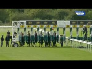 Video preview image for Newmarket 18:05 - Tamdown Selling Stakes