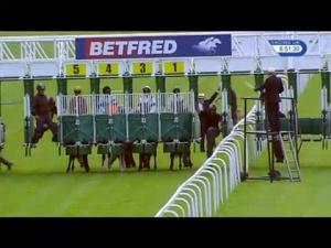 Video preview image for Haydock Park 18:50 - Betfred TV EBF Novice Stakes (Plus 10)
