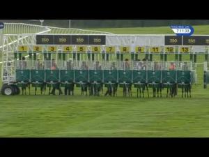 Video preview image for Newmarket 19:10 - Tamdown Handicap