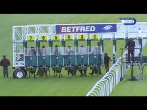 Video preview image for Haydock Park 19:20 - Countrywide Freight Nursery
