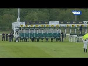 Video preview image for Newmarket 19:45 - Tamdown EBF Stallions Fillies' Handicap