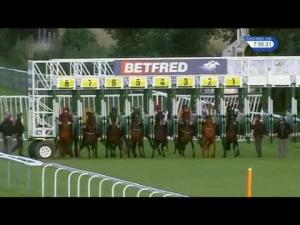 Video preview image for Haydock Park 19:55 - Betfred 'Be Part Of The Action' Fillies' Handicap