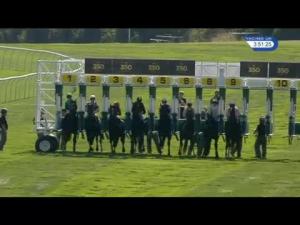 Video preview image for Newmarket 15:50 - Buy, Breed and Train In Germany Handicap