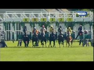 Video preview image for Redcar 16:35 - High Definition Racing UK Claiming Stakes (Rnd)