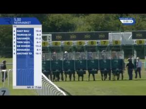 Video preview image for Newmarket 17:00 - Royal British Legion Handicap