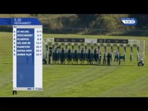 Video preview image for Newmarket 17:30 - Price Bailey Chartered Accountants Handicap