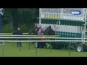 Video preview image for Ayr 20:10 - Qts Group Handicap