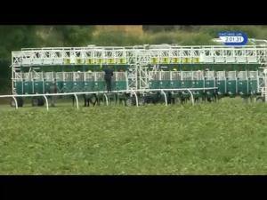 Video preview image for Thirsk 14:00 - racinguk.com/hd Maiden Auction Stakes