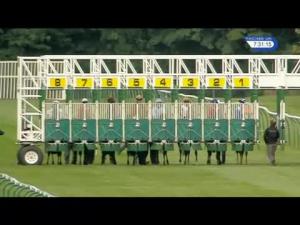 Video preview image for Nottingham 19:30 - ebfstallions.com Conditions Stakes