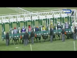 Video preview image for Salisbury 15:50 - EBF Stallions Upavon Fillies' Stakes (Listed)