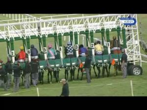 Video preview image for Salisbury 16:20 - Champagne Joseph Perrier Handicap