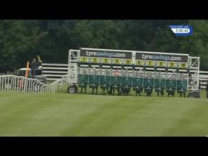 Video preview image for Beverley 17:00 - Ladies Day Handicap (Div 1)