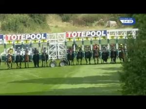 Video preview image for Salisbury 14:40 - Totequadpot Available At All UK Meetings Handicap