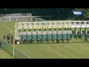 Video preview image for Nottingham 14:40 - Racing UK Profits Returned To Racing Handicap