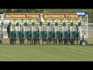 Video preview image for Newbury 14:50 - Christopher Smith Associates Handicap (Str)