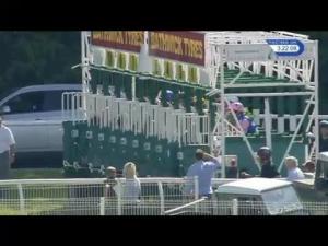 Video preview image for Newbury 15:20 - Berry Bros. & Rudd Cellar Plan Handicap