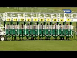 Video preview image for Nottingham 16:20 - Racing UK In HD Colwick Cup (Handicap)