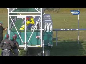 Video preview image for Newmarket 17:30 - 32red.com Median Auction Maiden Stakes (Plus 10)