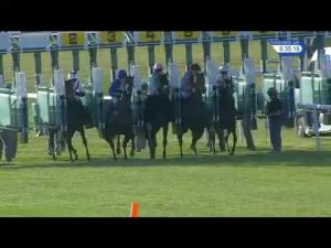 Video preview image for Newmarket 18:35 - Ngk Spark Plugs EBF Stallions Maiden Stakes (Plus 10)