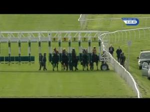 Video preview image for Catterick Bridge 18:45 - Keith Partridge Memorial Nursery