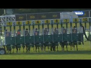 Video preview image for Newmarket 19:10 - Firestone Building Products Europe Handicap
