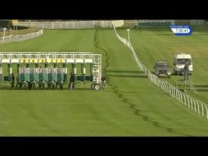 Video preview image for Catterick Bridge 19:20 - Alan Clough Maiden Stakes