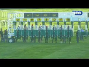 Video preview image for Newmarket 19:40 - Tilbrooks Landscape & Tuddenham Nurseries Handicap