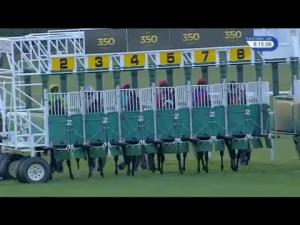 Video preview image for Newmarket 20:15 - James Hardie Cladding At U.Plastics Handicap