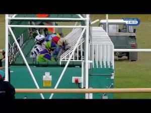 Video preview image for Newmarket 14:45 - Pantile Stud Grey Horse Handicap (Grey Horses Only)