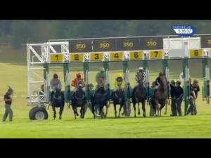 Video preview image for Newmarket 17:35 - Andrew Fleet Handicap