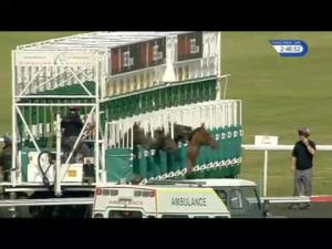 Video preview image for Kempton Park 14:45 - Apollobet Premier League Cashback Maiden Fillies' Stakes