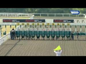 Video preview image for Kempton Park 17:15 - Apollobet Download The Free App Handicap