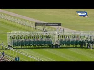 Video preview image for York 16:20 - Fine Equinity Stakes (Handicap)