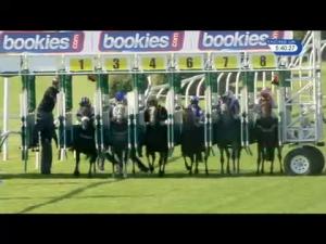 Video preview image for Carlisle 17:40 - Apollobet Daily Racing Refunds Handicap