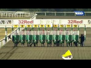 Video preview image for Kempton Park 21:10 - Racing UK In HD Handicap