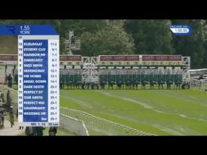 Video preview image for York 13:55 - Goffs Premier Yearling Stakes