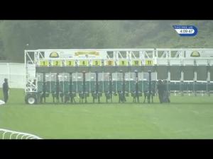 Video preview image for Sandown Park 16:05 - National Feed & Flour Production Handicap