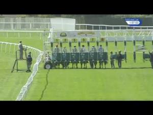 Video preview image for Sandown Park 13:55 - Omeir Travel Agency Nursery