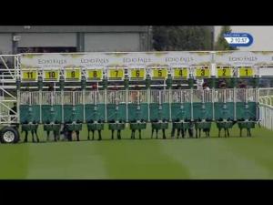 Video preview image for Chester 14:05 - Ans Means business/EBF Stallions Maiden Stakes (Plus 10)