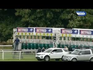 Video preview image for York 14:50 - Betfred Melrose Stakes (Handicap)