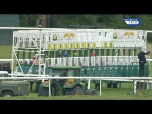 Video preview image for Sandown Park 15:40 - National Feed & Flour Production Handicap