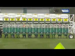 Video preview image for Chester 15:50 - British Stallions Studs EBF Handicap