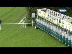 Video preview image for Sandown Park 16:15 - Global United Veterinary Services Handicap