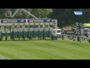 Video preview image for York 16:35 - Julia Graves Roses Stakes (Listed)