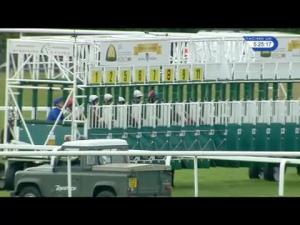 Video preview image for Sandown Park 17:25 - Abu Dhabi Sports Council Handicap