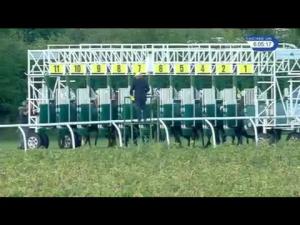 Video preview image for Thirsk 18:05 - Anderson Barrowcliff Chartered Accountants Maiden Auction Stakes